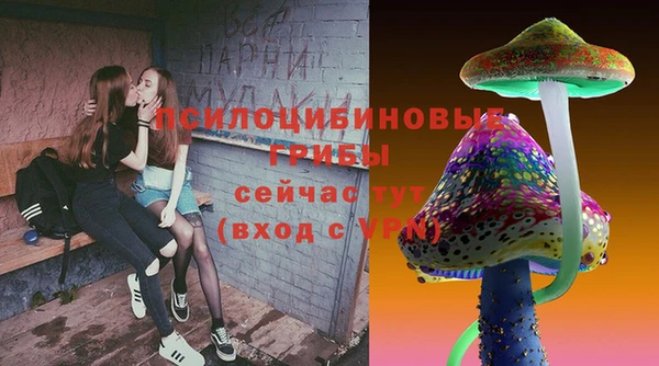 круглые Богородицк