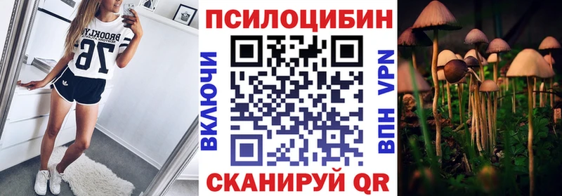 где продают наркотики  Гулькевичи  Псилоцибиновые грибы Psilocybine cubensis 